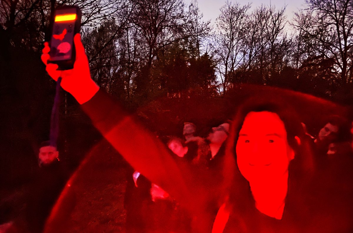 Fledermausführung im Hofgarten – Unterwegs im Grünen